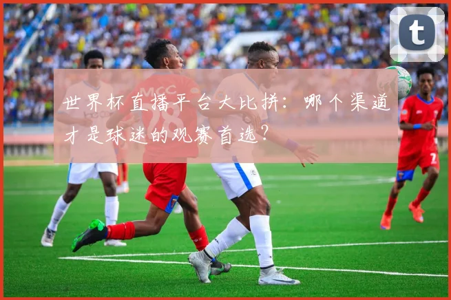 世界杯直播平台大比拼:哪个渠道才是球迷的观赛首选?